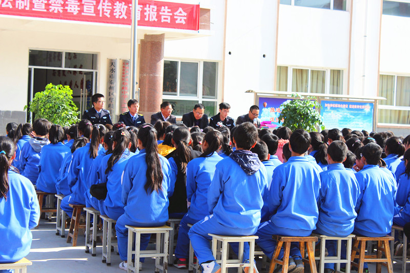 秦州区华岐镇食药监所举行“食品安全进校园”活动